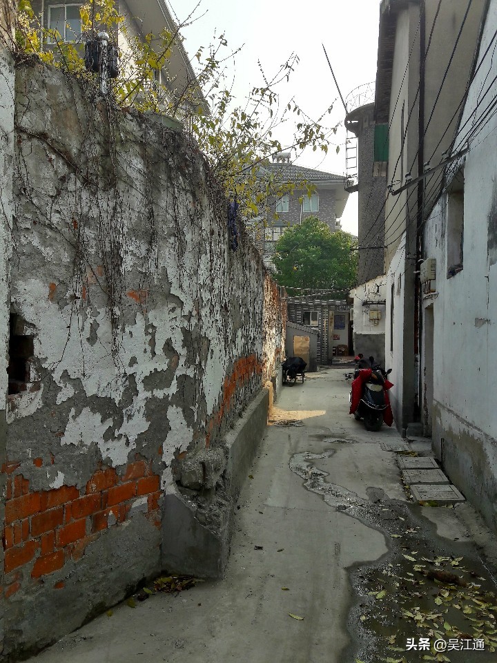 难忘邻里情,难忘的邻里亲情