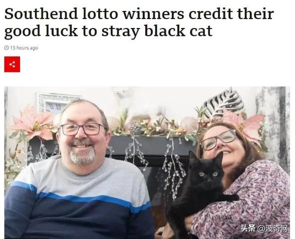 他们收养黑猫后，半年中了百万英镑？谁再说黑猫不吉利！