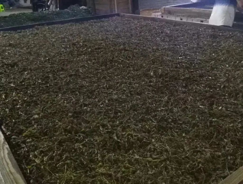 茶事正山小种前世,老茶事茉莉花茶