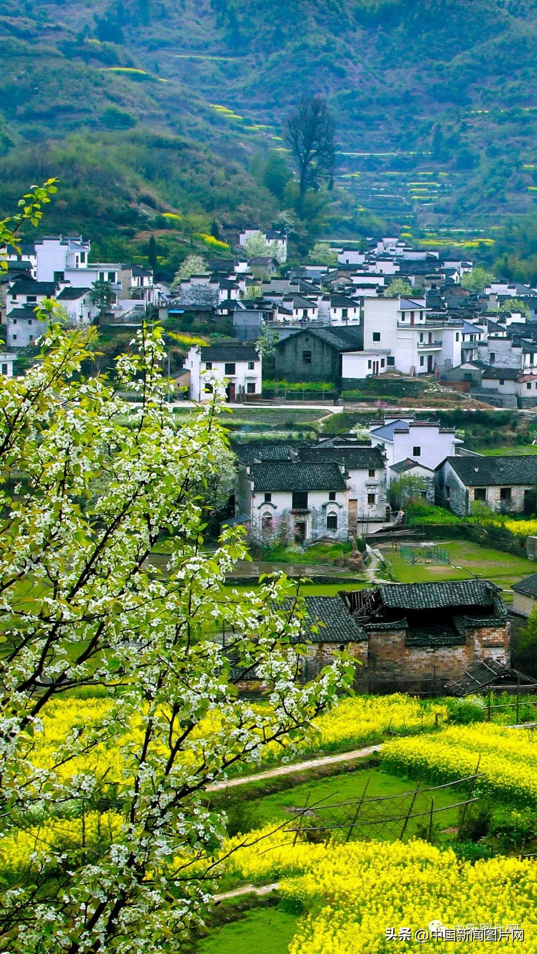 招募！荷赛大师带您记录“美丽中国美丽婺源”