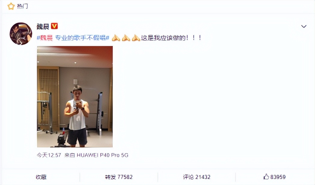 魏晨梗王稳定发挥,新晋梗王魏晨完整版