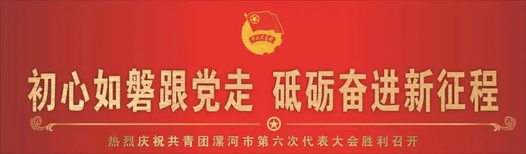 共青团第六次团员代表大会,共青团漯河市第六次代表大会
