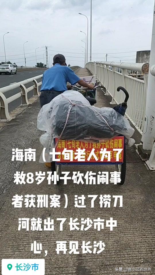 海南七旬老人救孙获刑案,海南七旬老人救孙为什么获刑