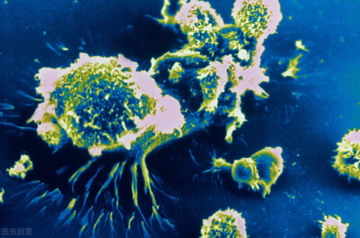 靶向药是不是对所有的癌症都有效,靶向药对癌症真的有用吗