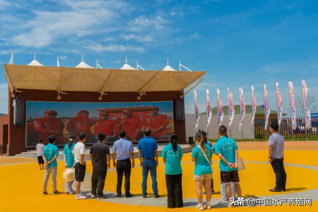 江苏螃蟹基地,探访阳澄湖螃蟹养殖区