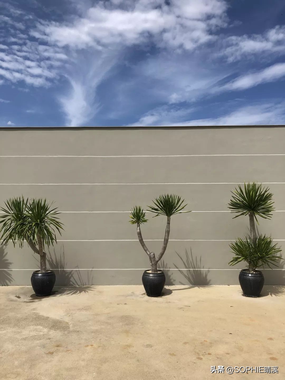 从广州到越南胡志明要多长时间,从广州到越南河内坐飞机几个小时