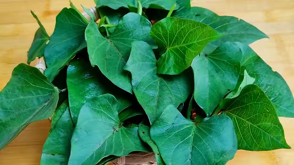 阳台种菜的100种方法,阳台种菜的正确方法大全