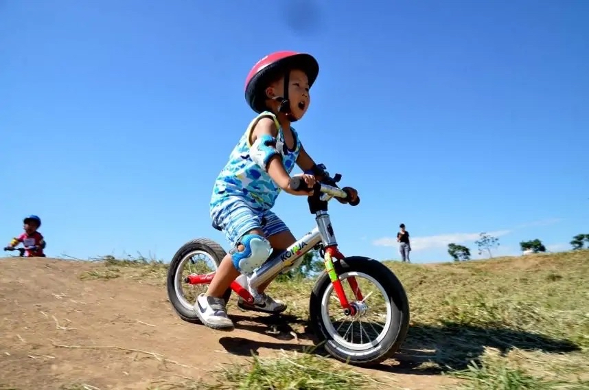 孩子叛逆厌学辍学上网成瘾怎么办,孩子上网成瘾厌学还是在学校混