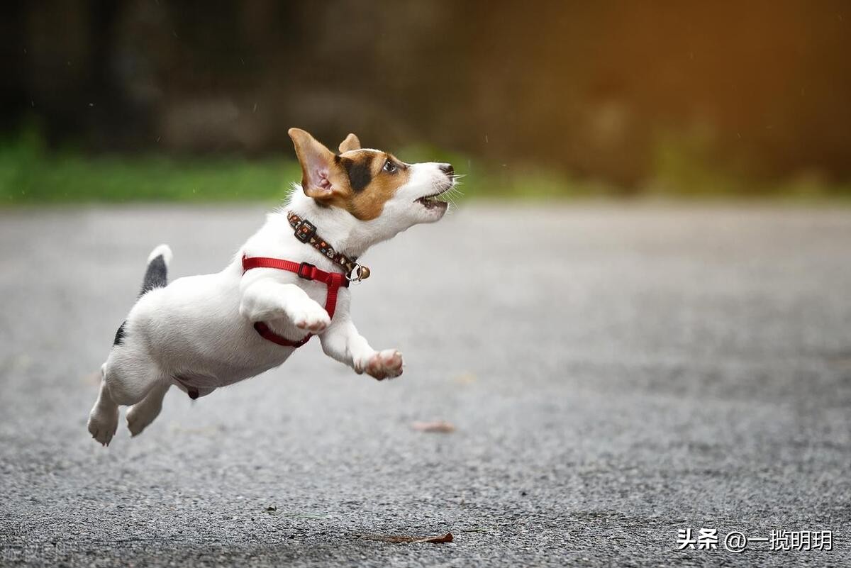 有哪些网站你一旦知道就离不开它,哪些是你离不开的网站