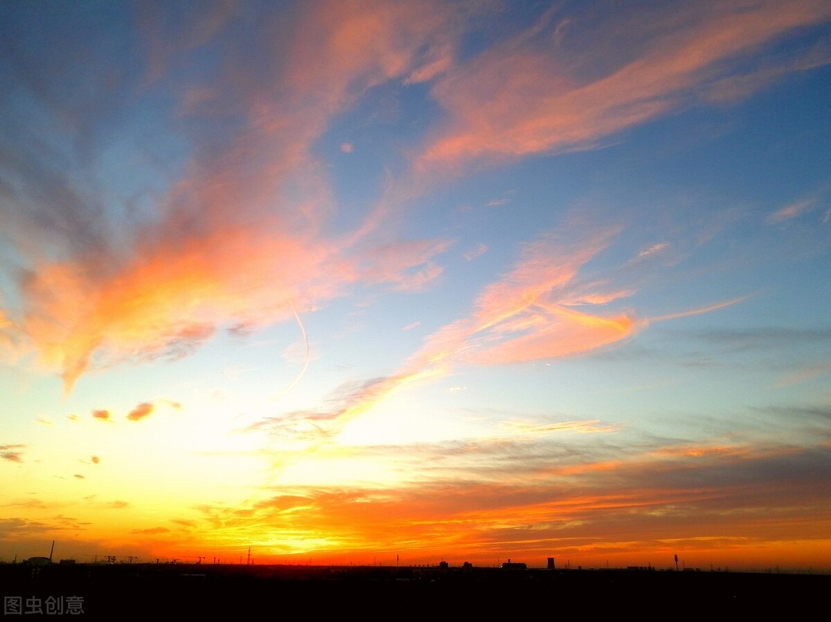 背叛者,背叛电视剧