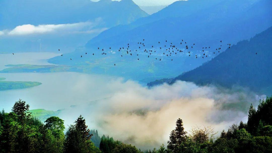 洪雅避暑胜地,洪雅最清凉的地方