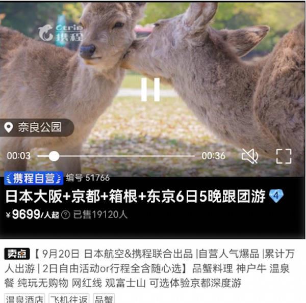 日本最受欢迎的团,日本旅游受欢迎