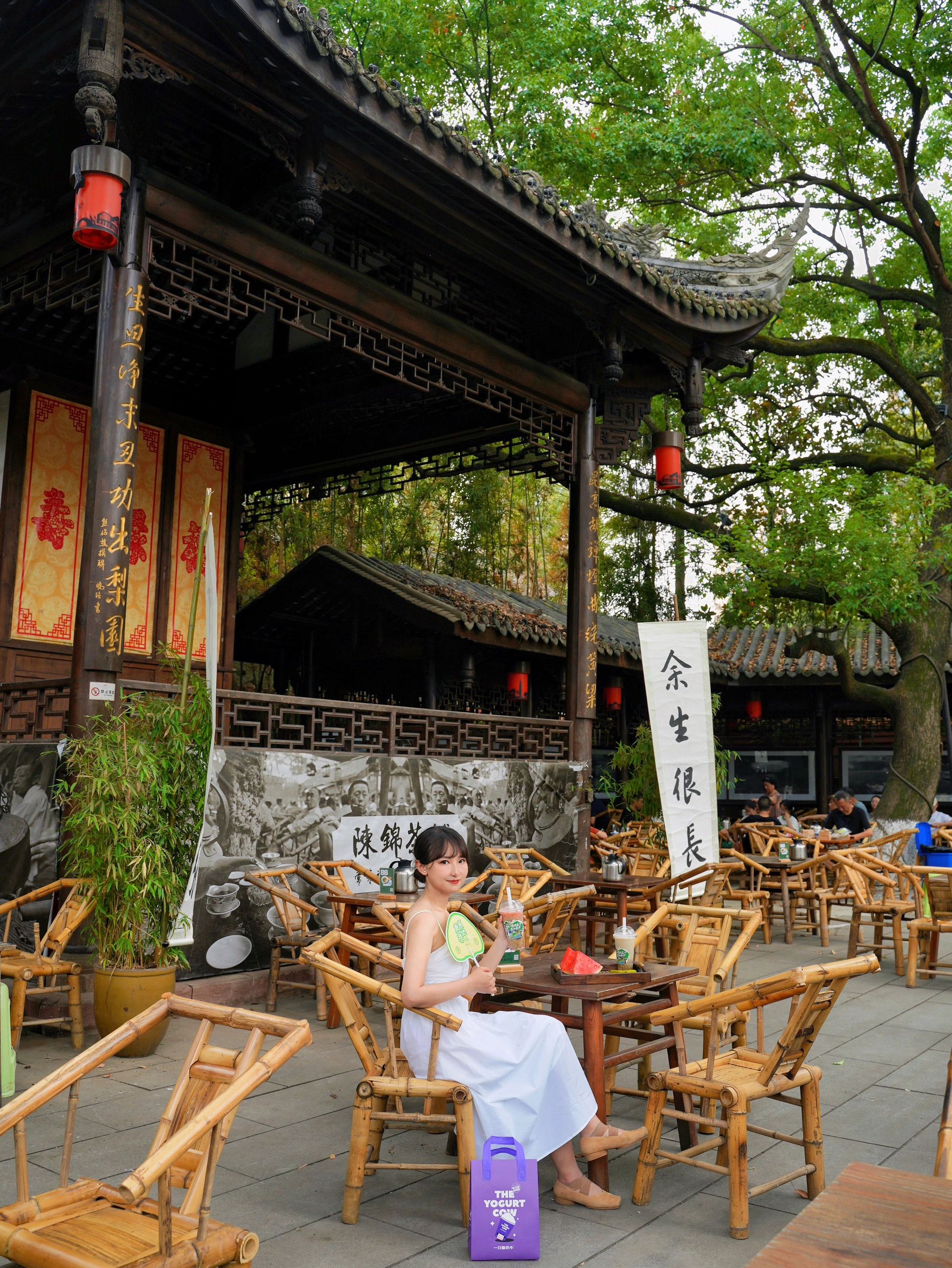 成都三日游最佳攻略包含川大,成都三日游最佳攻略视频