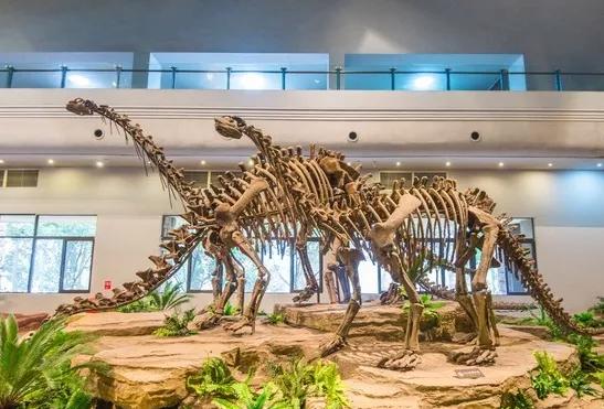 春节最值得一去的4个小众旅行地,春节川内游攻略