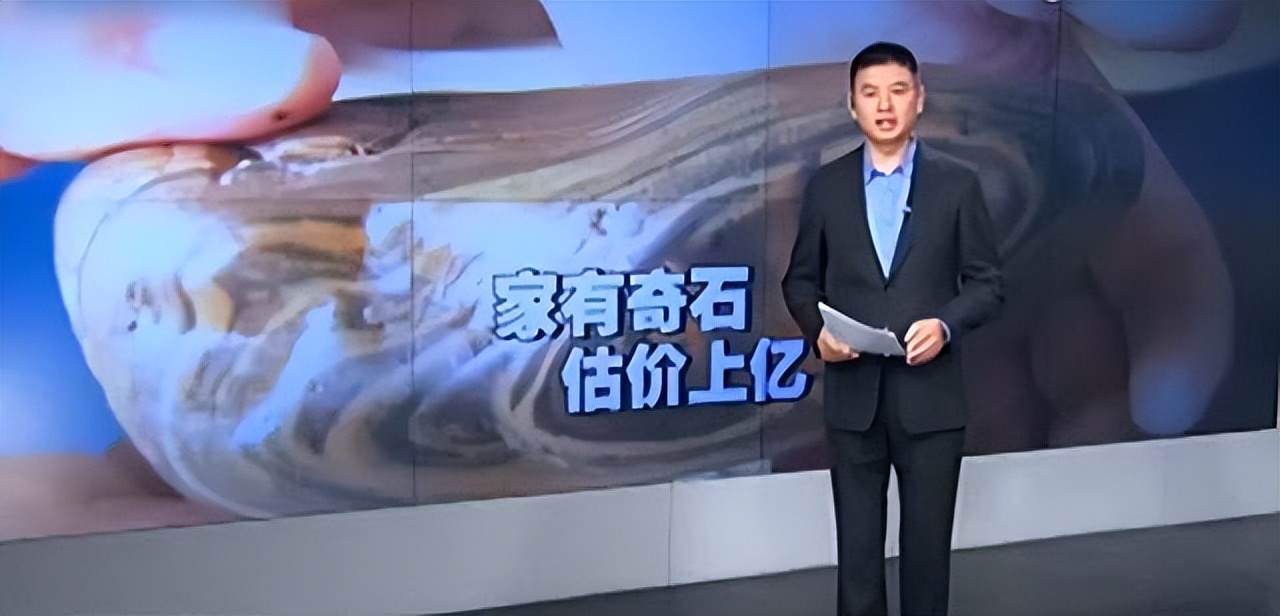 熊猫奇石价值上亿,青岛男子捡到熊猫奇石