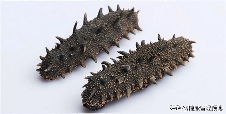 为什么足球运动员不能吃海参,海参营养不如鸡