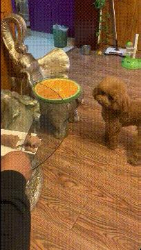 走路累了坐着歇一会,走累了坐下歇会怎么回事