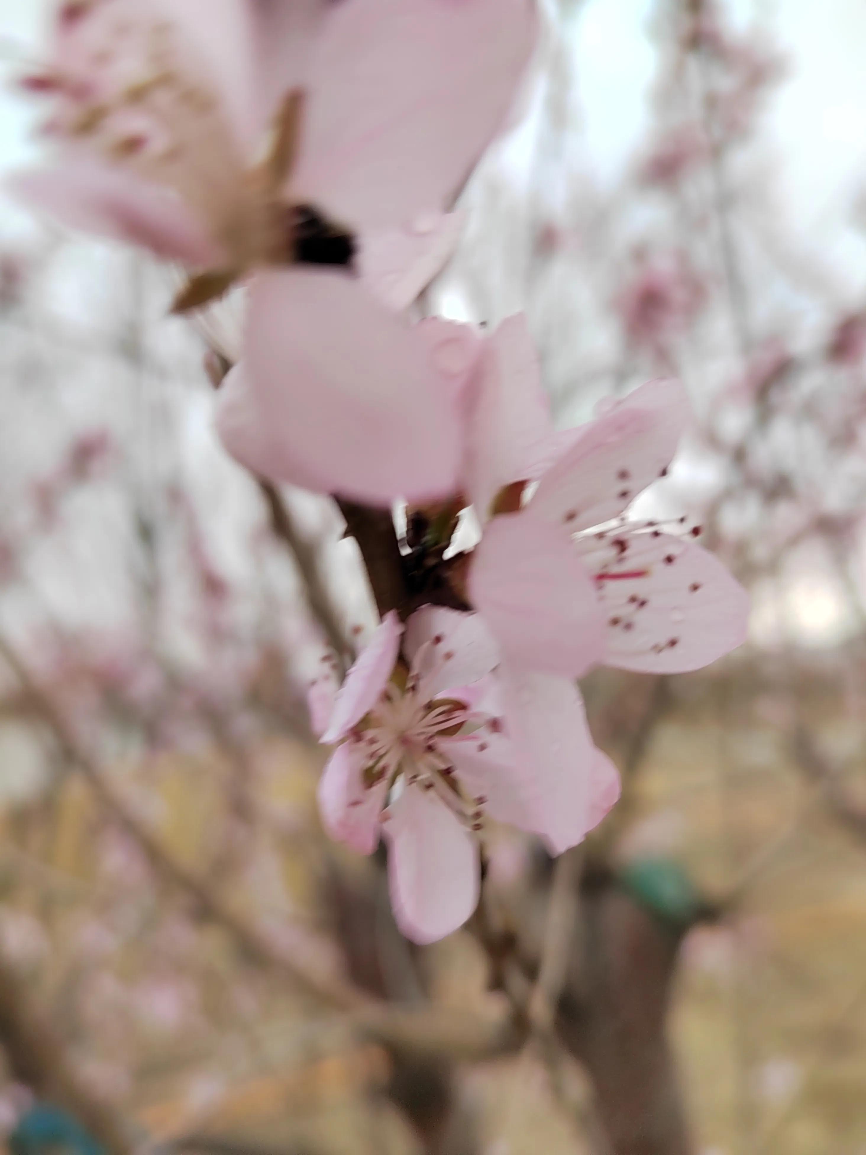 游东湖公园400字,游北山公园感悟