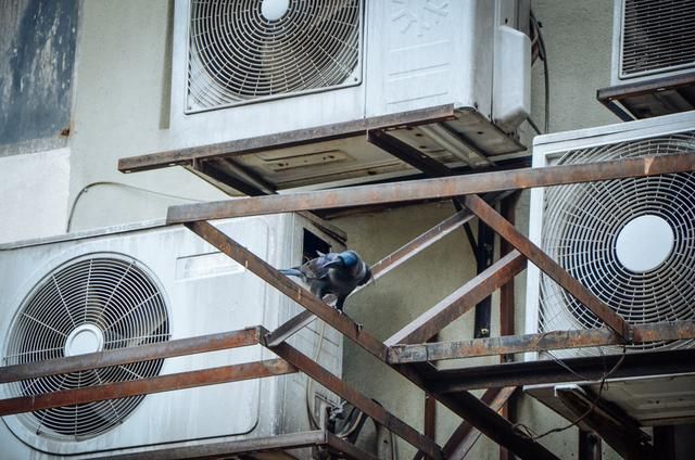 马来西亚马六甲十大旅游景点,马来西亚唐人街旅游