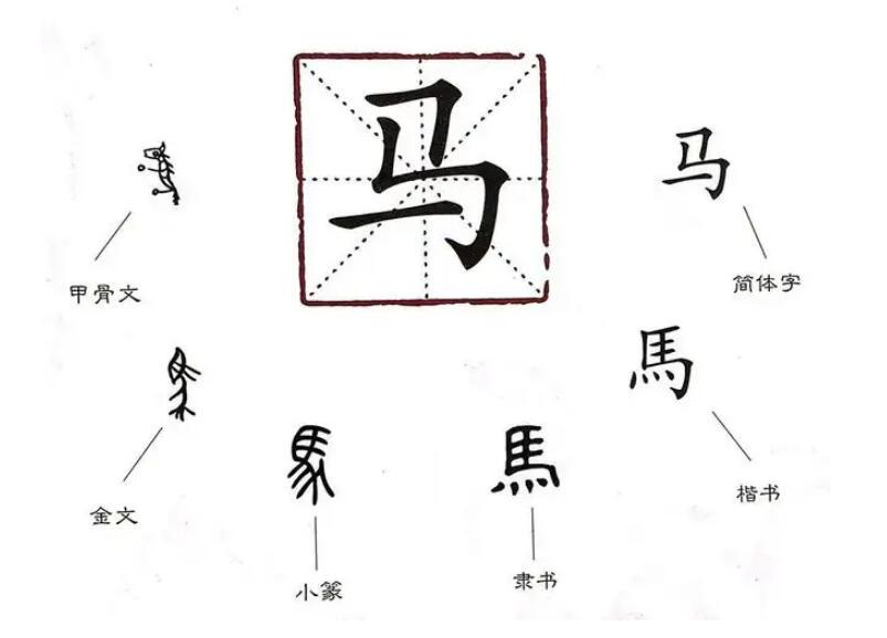 金星又被禁言，估计和否定简体字改革有关，二极管思维真不冤