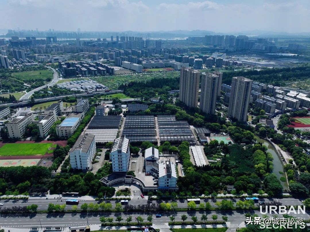 杭州之江板块的历史,杭州之江珊瑚沙家园怎么样