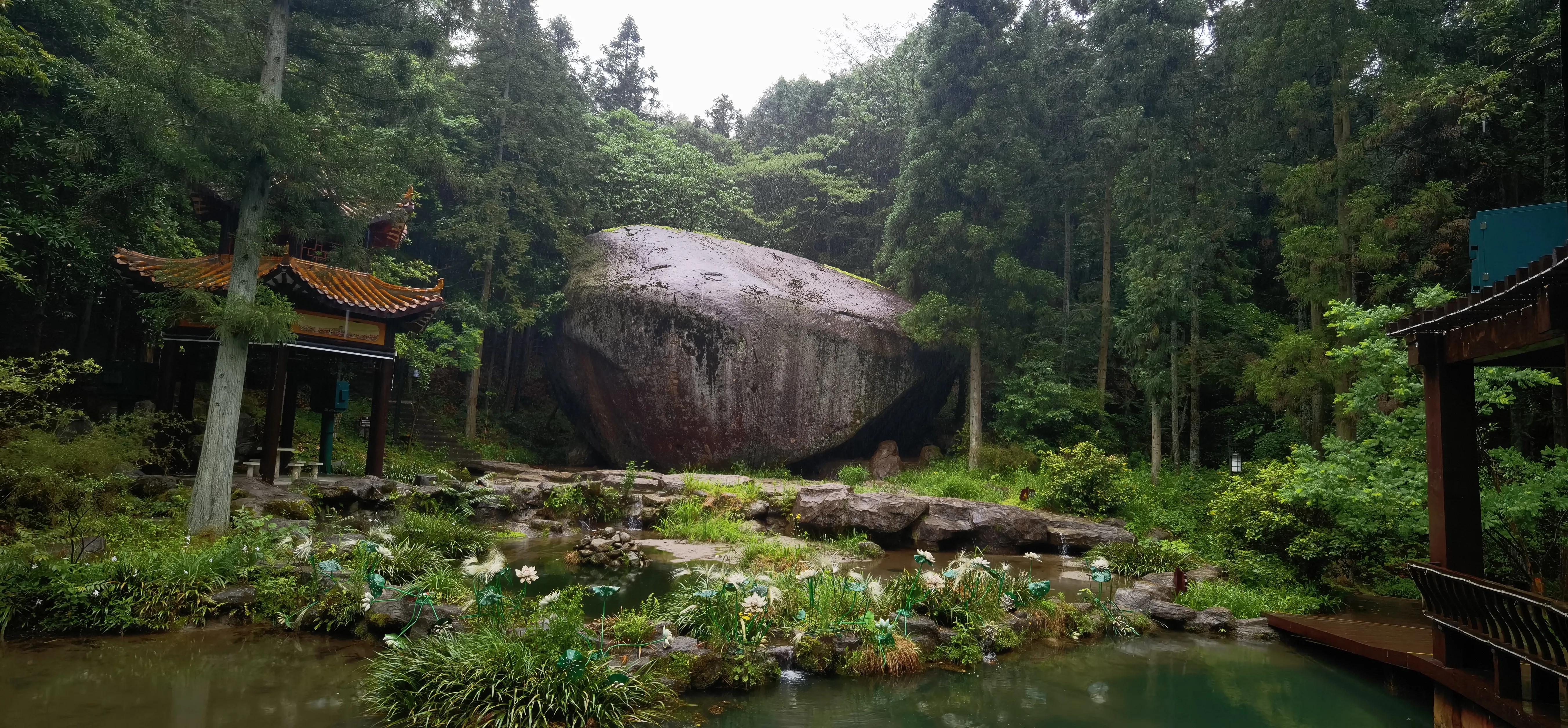 浏阳大围山森林公园浏阳河源头,大围山杜鹃花在哪个景点看