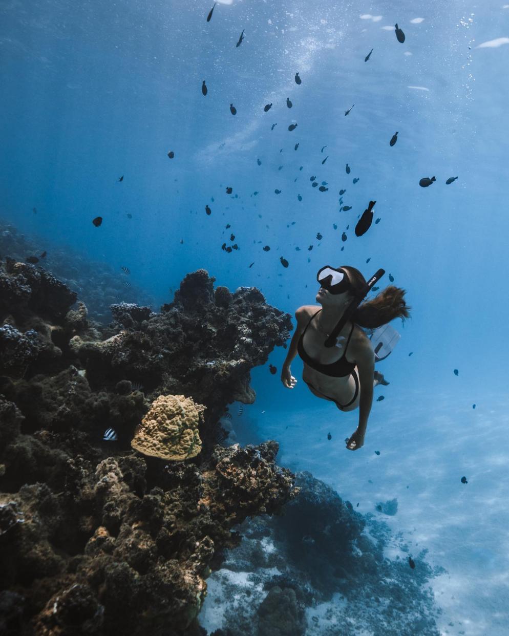 国外美女姐姐海里偶遇一只小鱼，竟引发神奇友谊！网友：前世情人