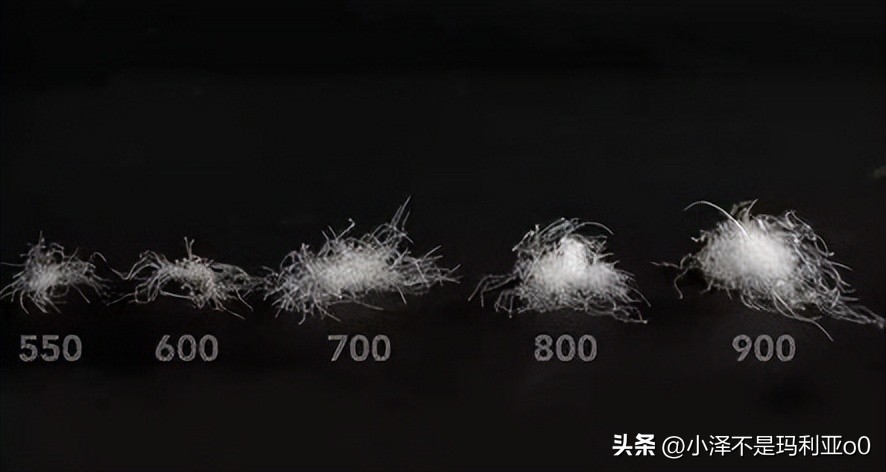 羽绒被品质好还是鹅绒被品质好,如何挑选性价比高的羽绒被