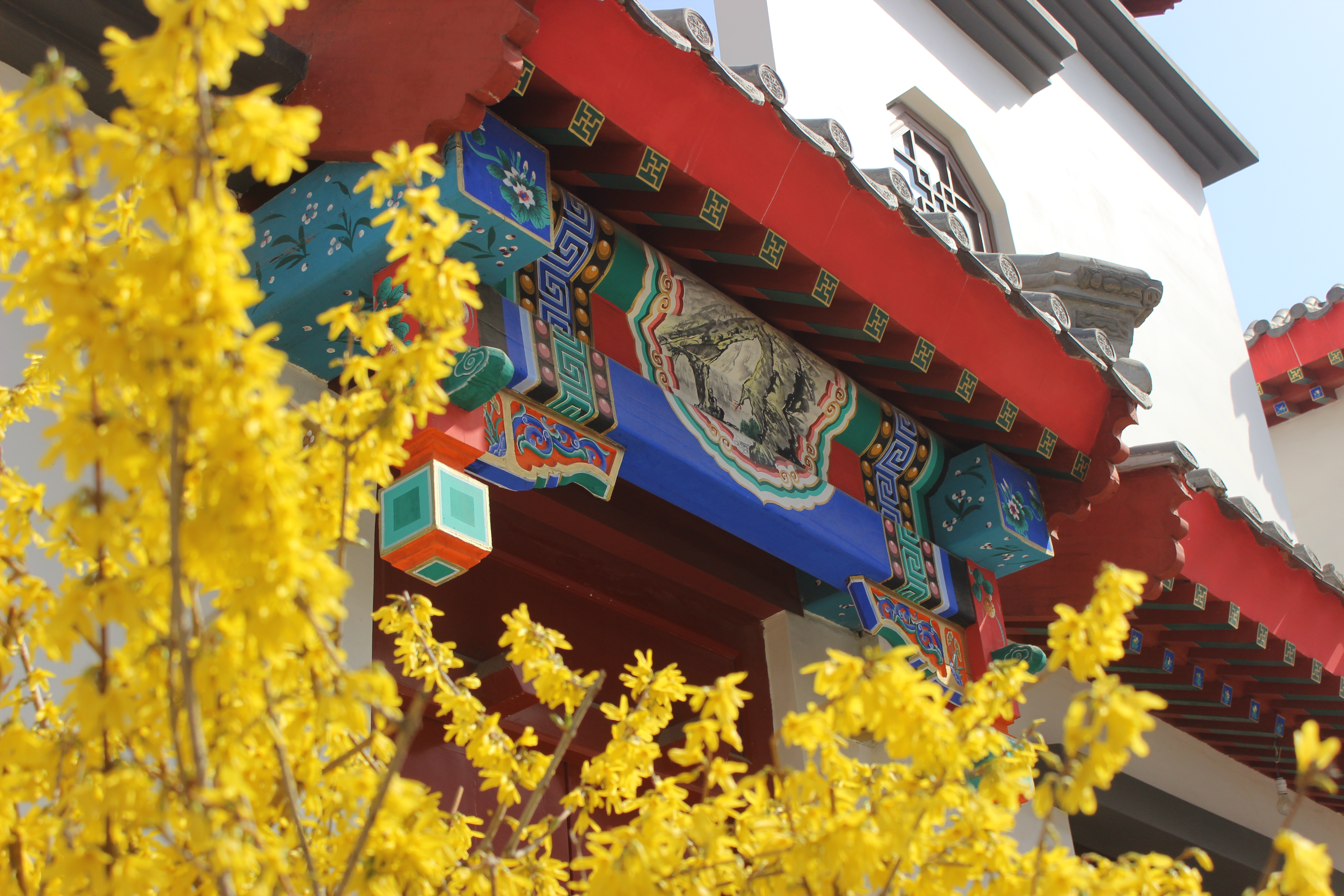 房产推荐和园,和园房子户型图大全