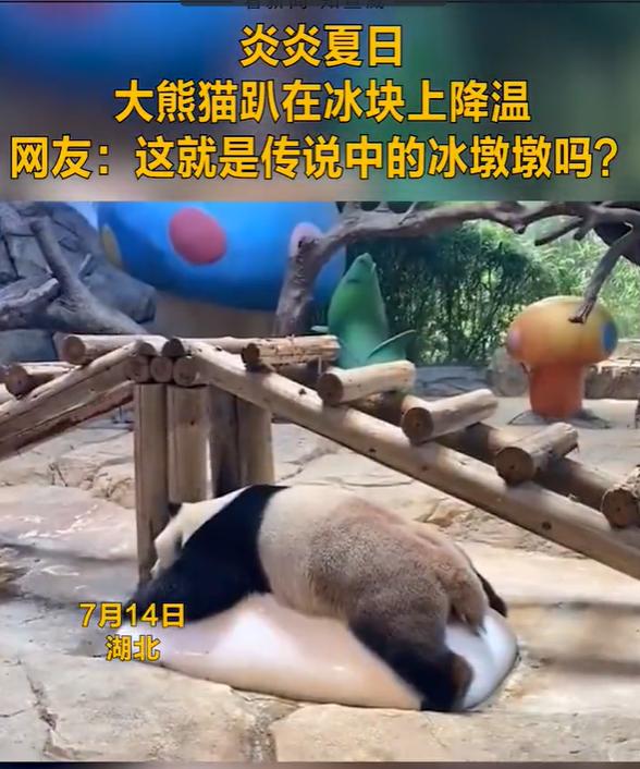 全球气温对比,全球温度评比