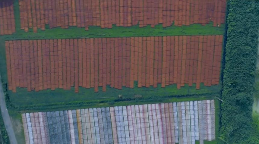 梦幻西游七夕锦衣稀世,梦幻西游七夕锦衣好不好看