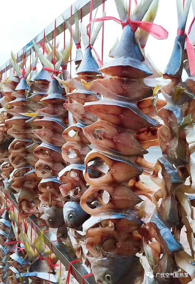 广优没有什么是“干”不了的-鱼干烘干工艺及解决方案