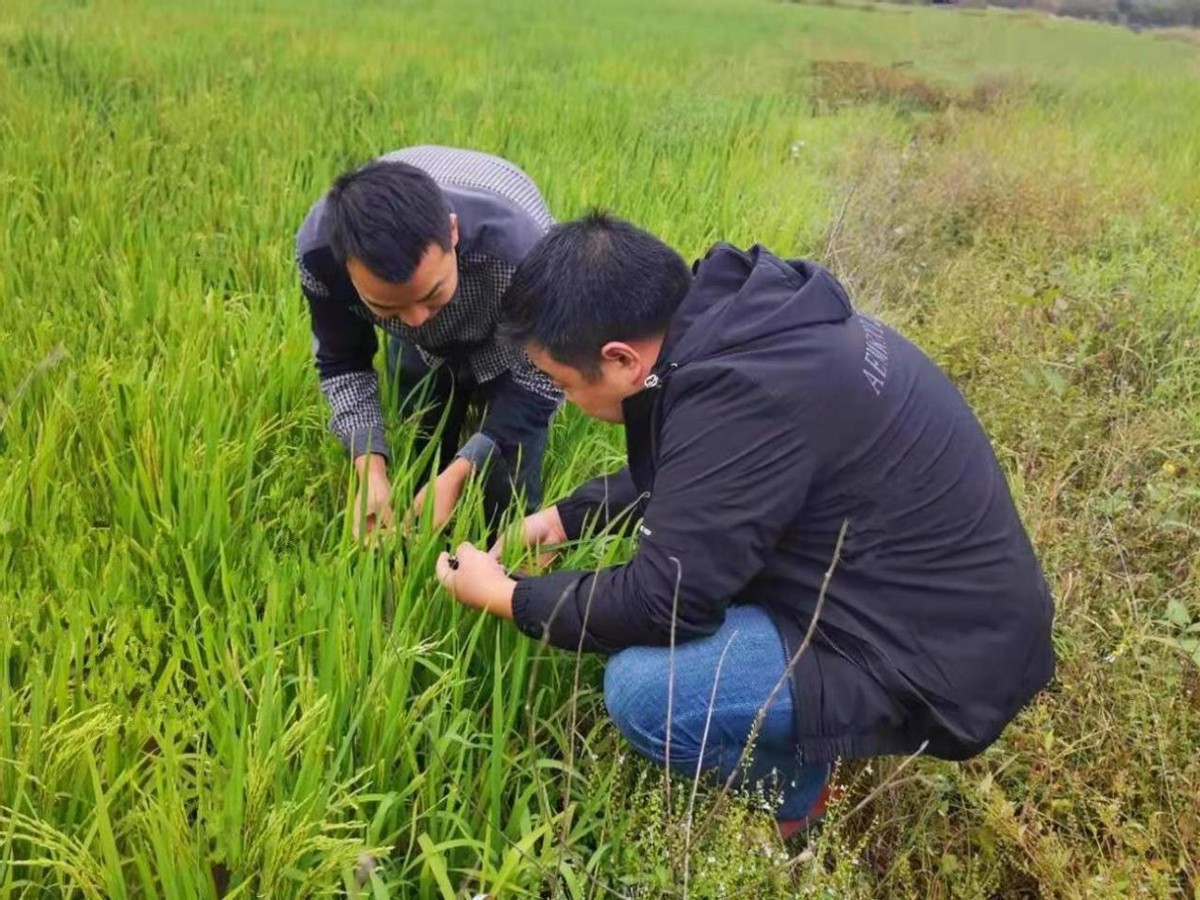 玉山六都李俊明获“全国粮食生产先进个人”