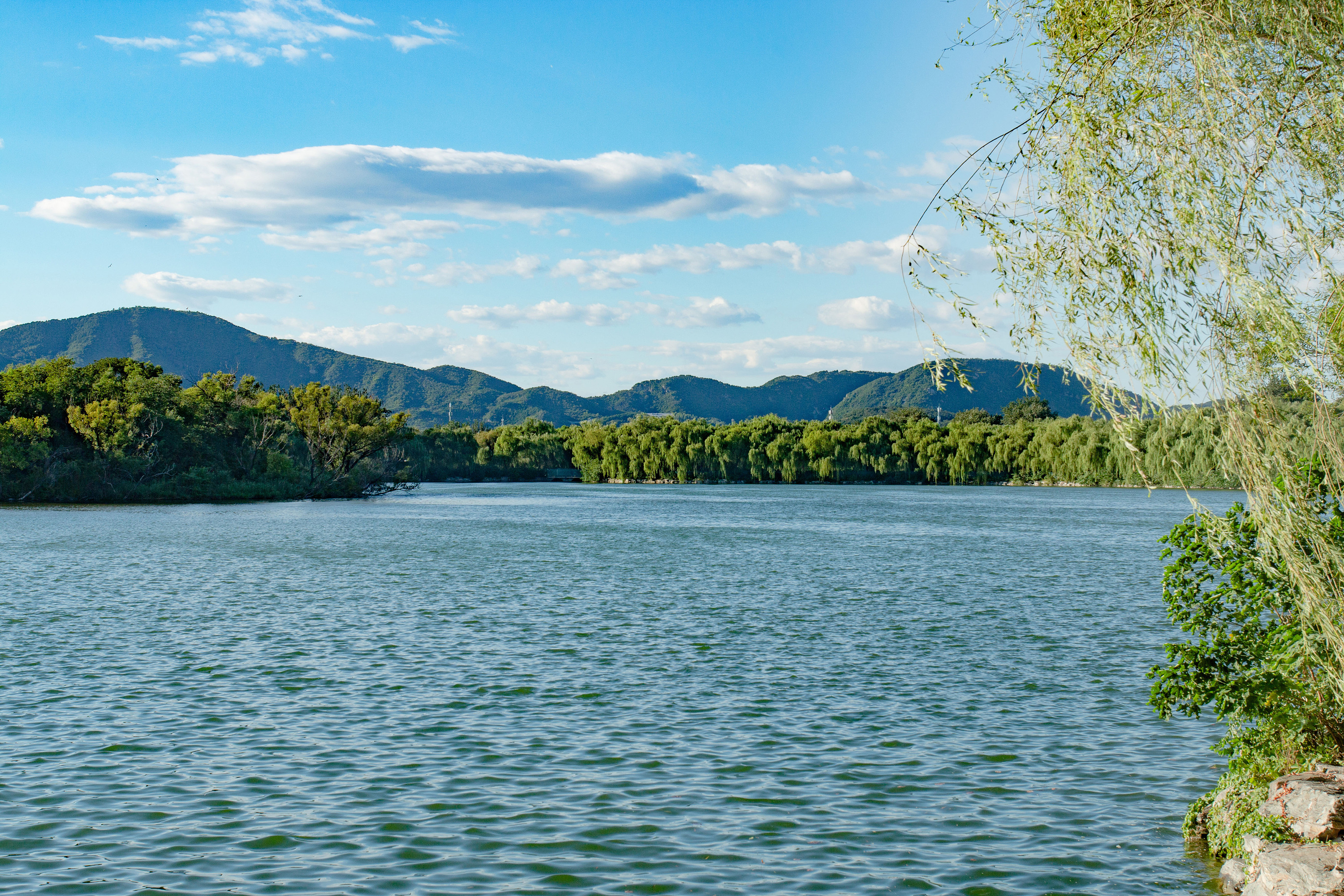 极美的十首夏景诗词,水摇扇影戏鱼惊柳梢残日弄微晴