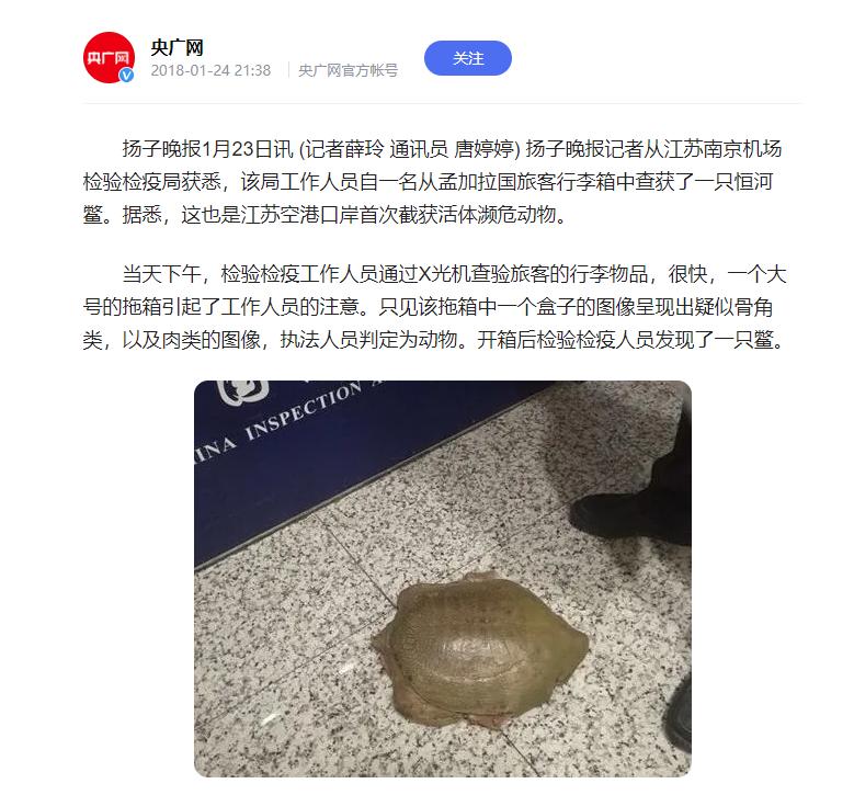 恒河鳖为啥无人敢吃,中国的恒河鳖