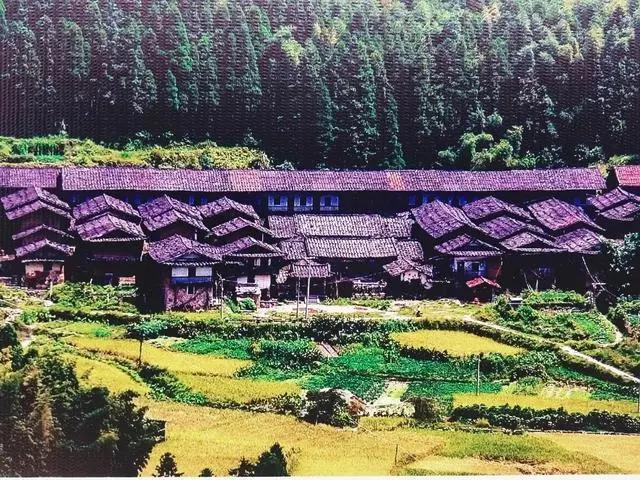 莆田历史记录完整版,莆田县志大事记