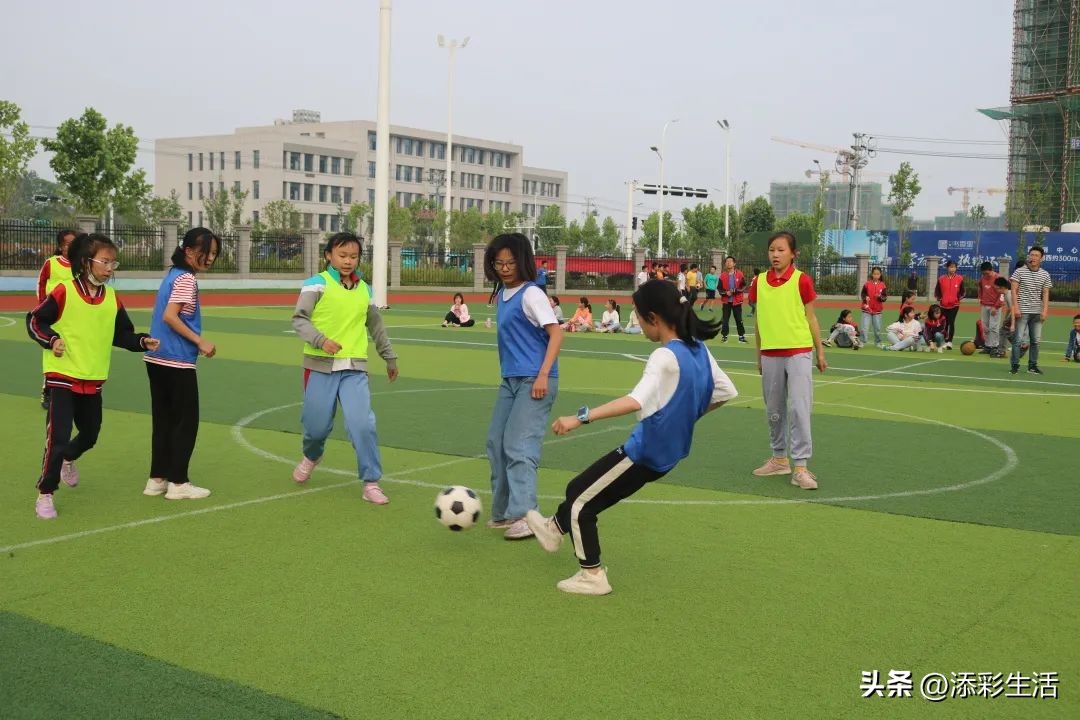 双减政策下学校的变化,安庆市双减政策落实情况