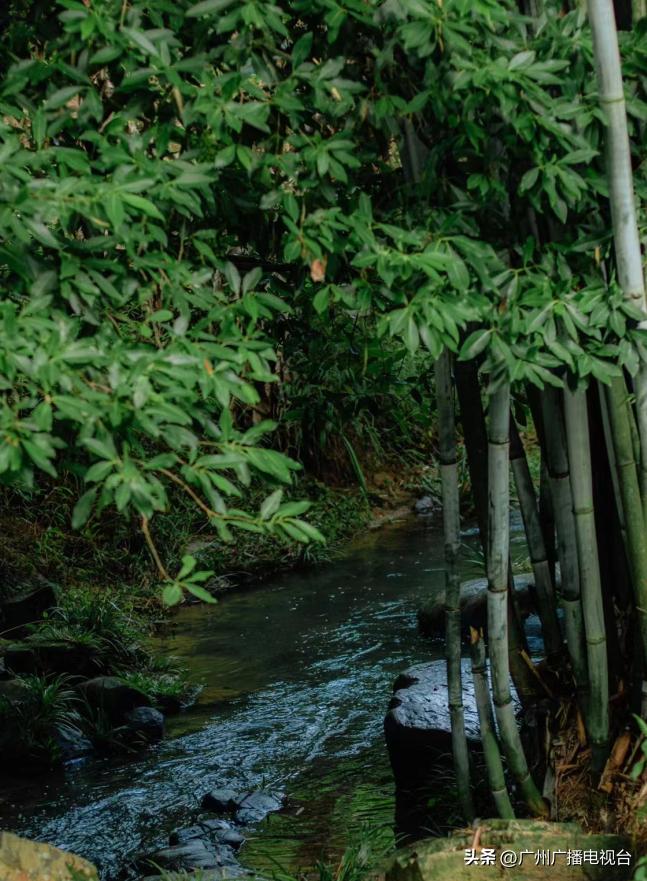 广州室内避暑的地方,广州夏日避暑胜地