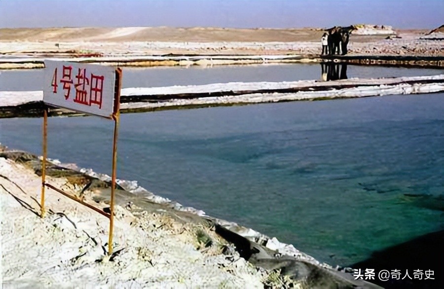 新疆的盐湖复活了吗,死海真实现状