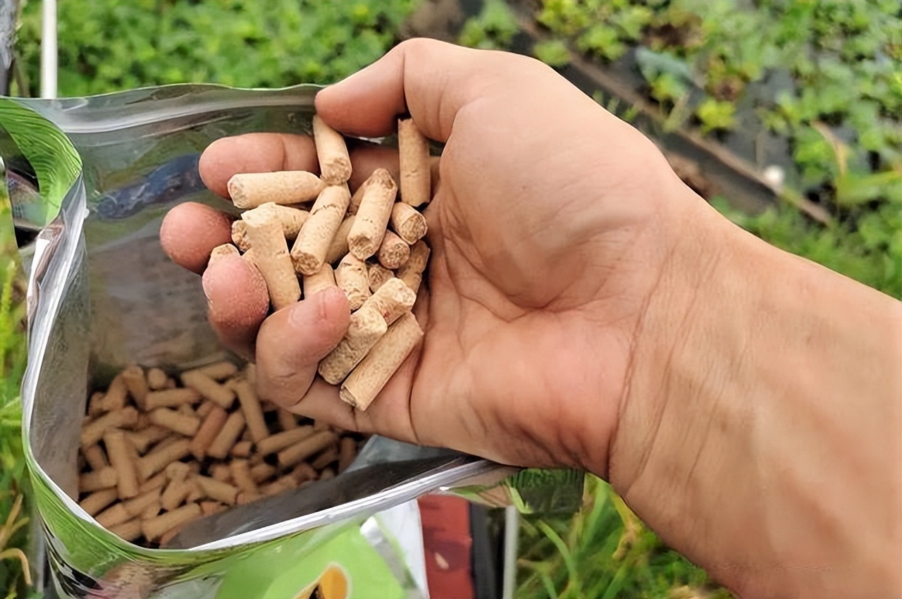 钓鱼打窝技巧钓鲫鱼,钓鱼打窝和饵料搭配比例