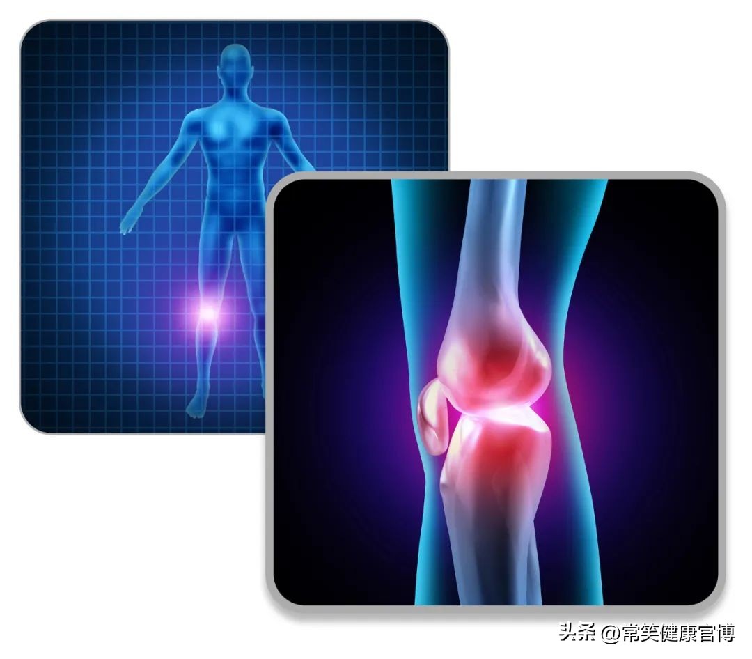 成年身体各部位对照表,人体各部位寿命对照表