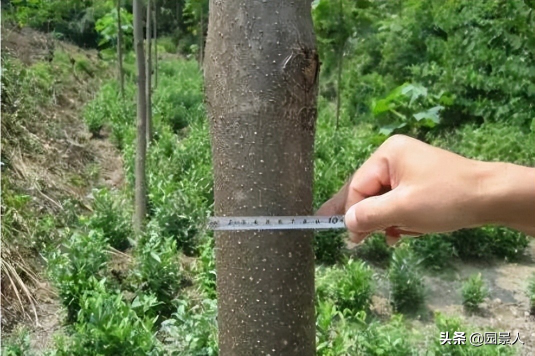 标杆房企园林景观工序,最新热销地产项目景观设计全解密