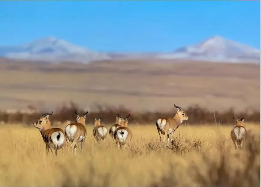 8月中旬带孩子去甘肃,带孩子去敦煌7天