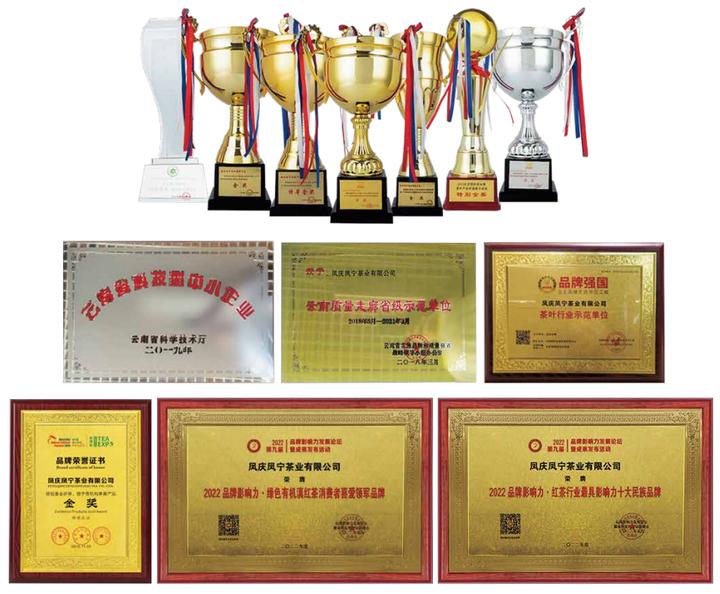 普洱茶品牌推荐,普洱茶的品牌哪家好