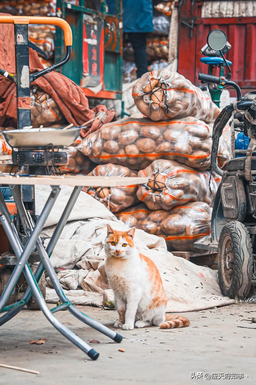 南京众彩买年货攻略,去南京众彩市场买什么最划算
