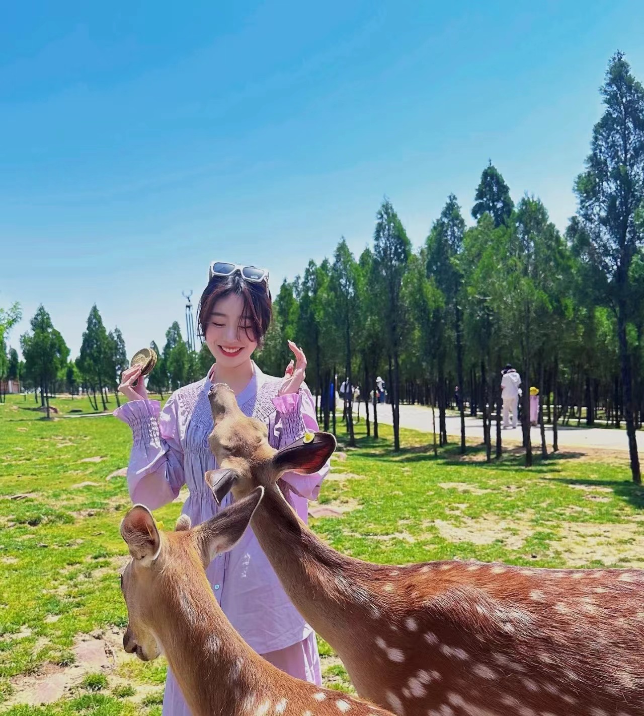 端午节适合郑州旅游的地方,郑州端午节适合旅游的地方