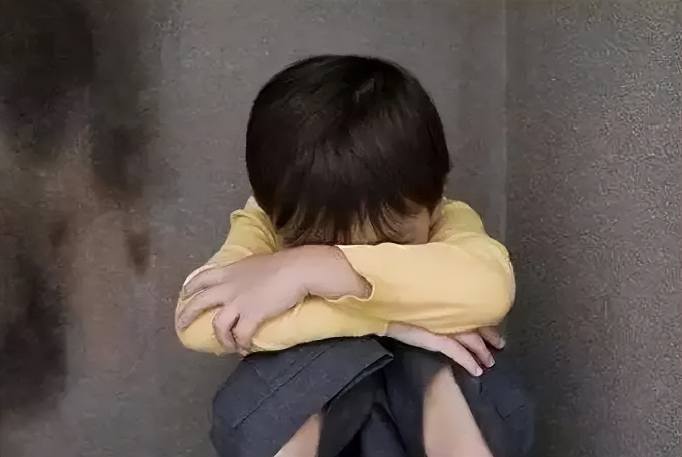 法律维护儿童权利的合法性原则,少年儿童法律保护的原则