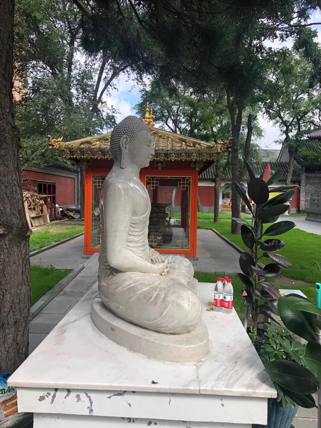 抗癌日记：护国*轮法**寺以及静心带给我的疗愈