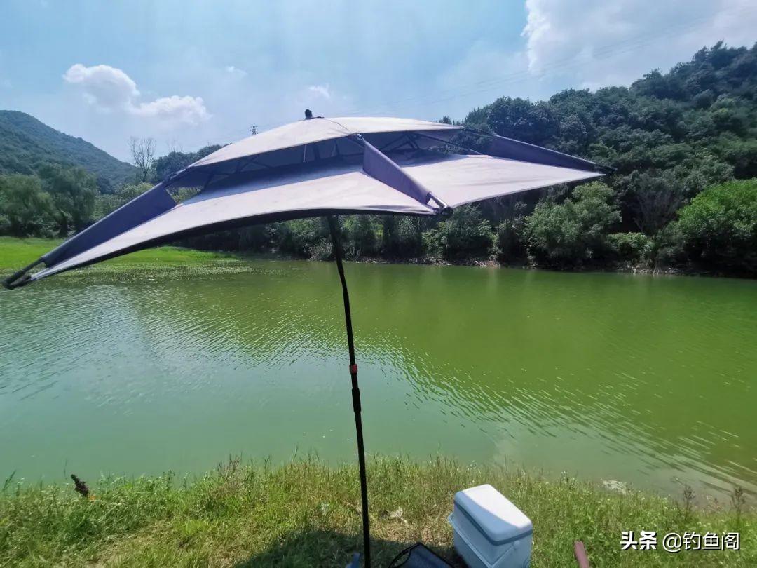 钓汪刺打窝技巧,冬季钓汪刺打窝技巧