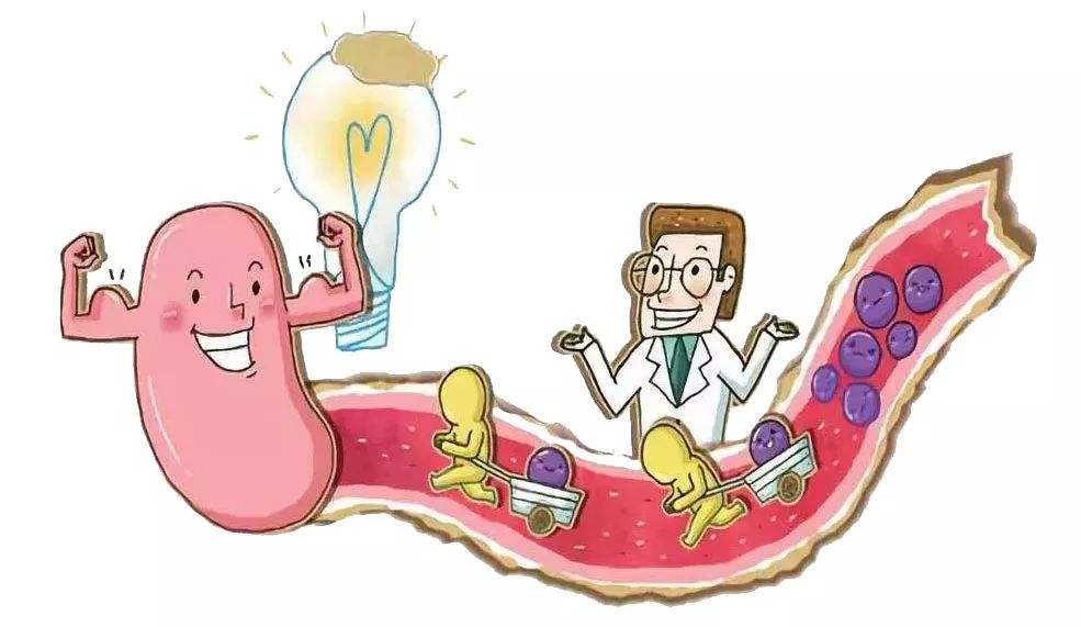 「玫子科普」治疗腹泻有3种方式，还需注意这4个误区